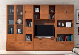 Librería Salón 300 cm.