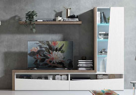 Composicion Salon 245 cm.