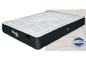COLCHON MOD. BIOSPRING