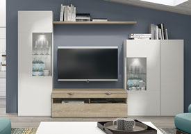 Composicin Saln 290 cm.