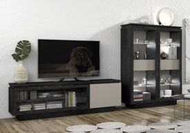 Composición Salón 300 cm.