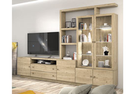 Composici�n Sal�n 320 cm.