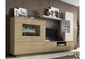 Composici�n Sal�n 300 cm.