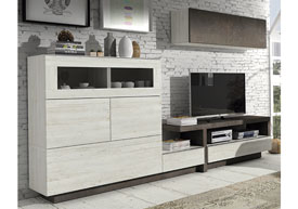 Composici�n Sal�n 306 cm.