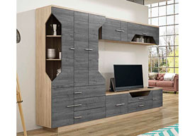 Composicin Saln 290 cm.