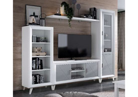 Composicion Salon 254 cm.